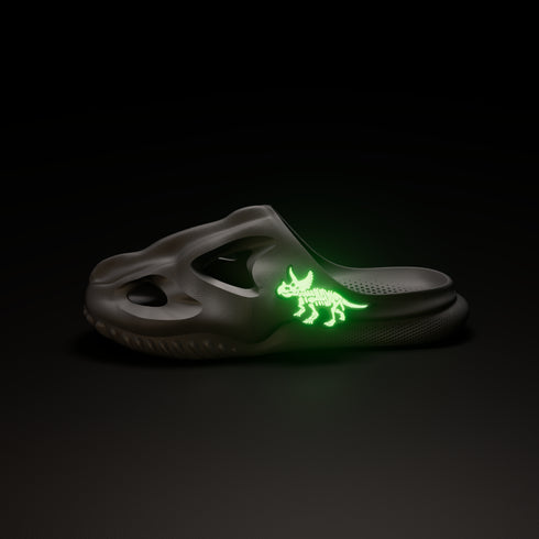 Triceratopo Accessori per T-Rex Fossil Slide