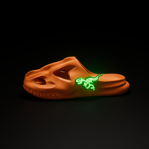 T-Rex Accessori per T-Rex Fossil Slide