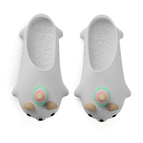 Animore - Scoops l'Orso